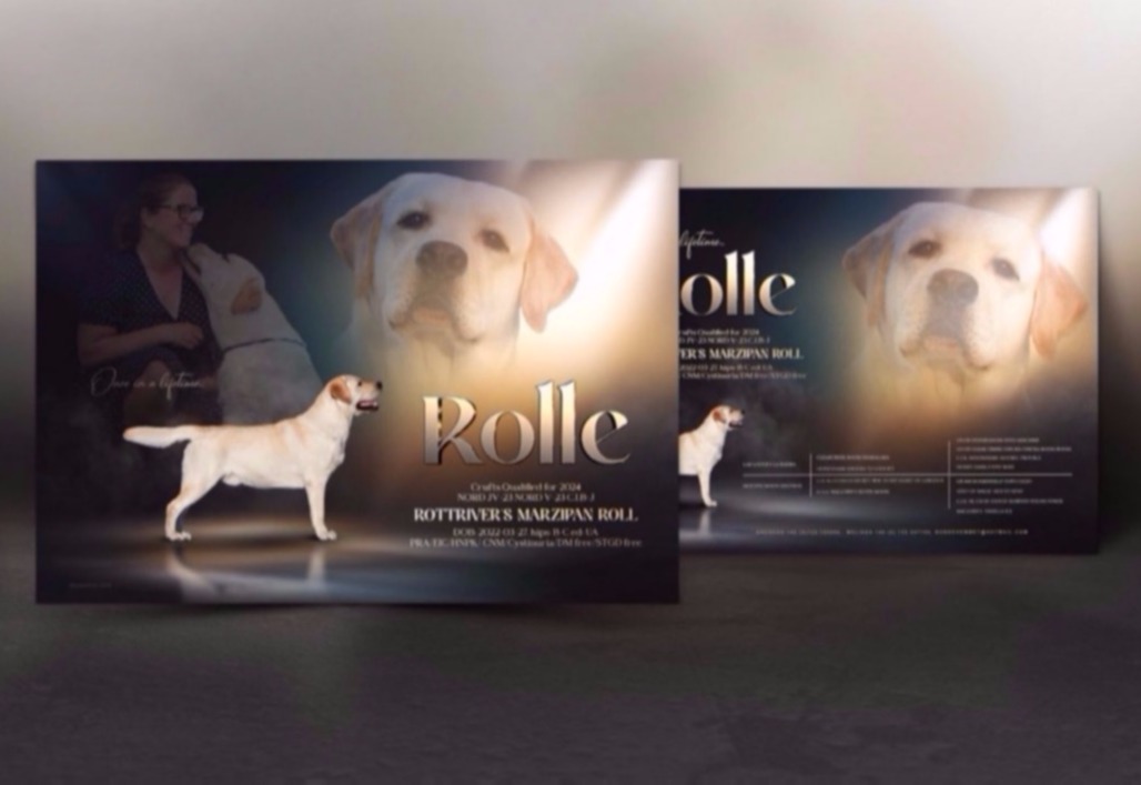 Breeder graphics bundle