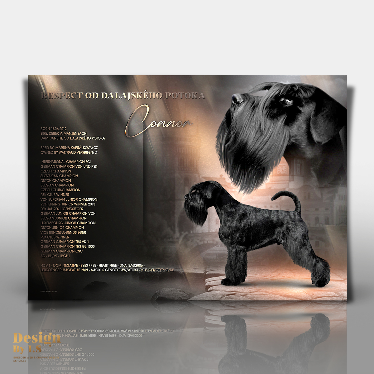 Custom stud dog presentation